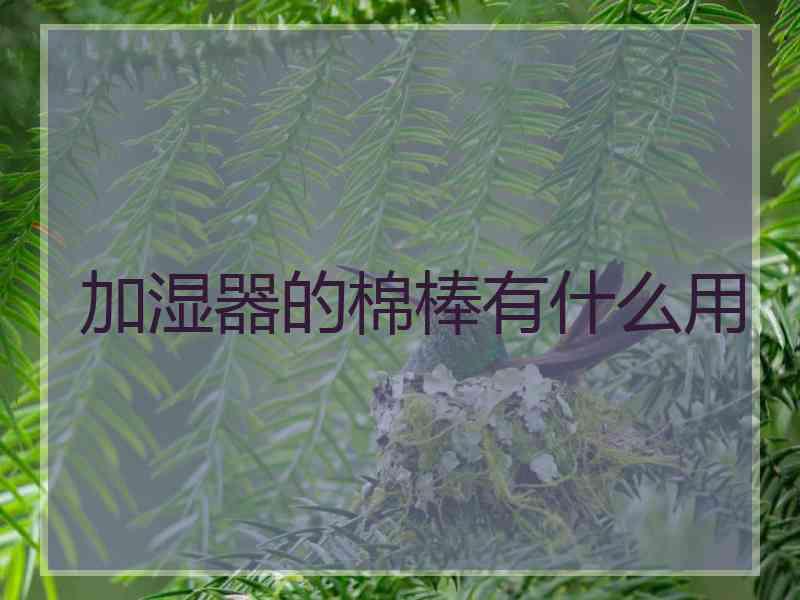 加湿器的棉棒有什么用