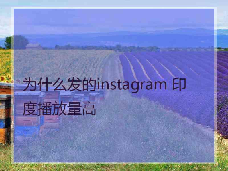 为什么发的instagram 印度播放量高