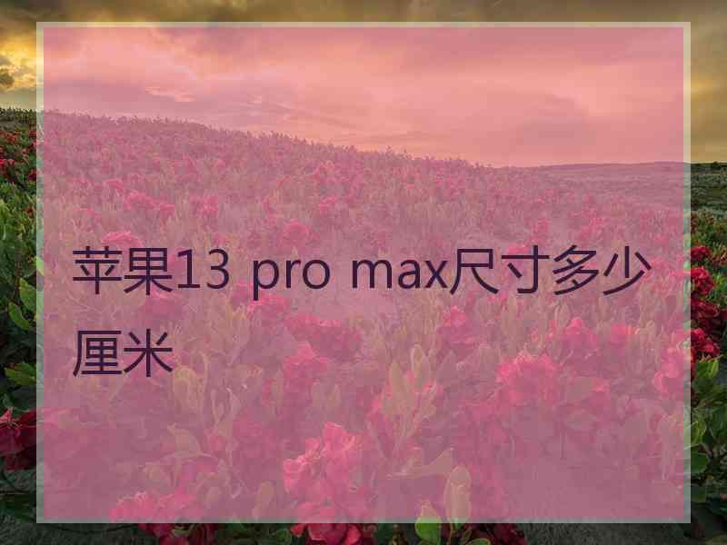 苹果13 pro max尺寸多少厘米