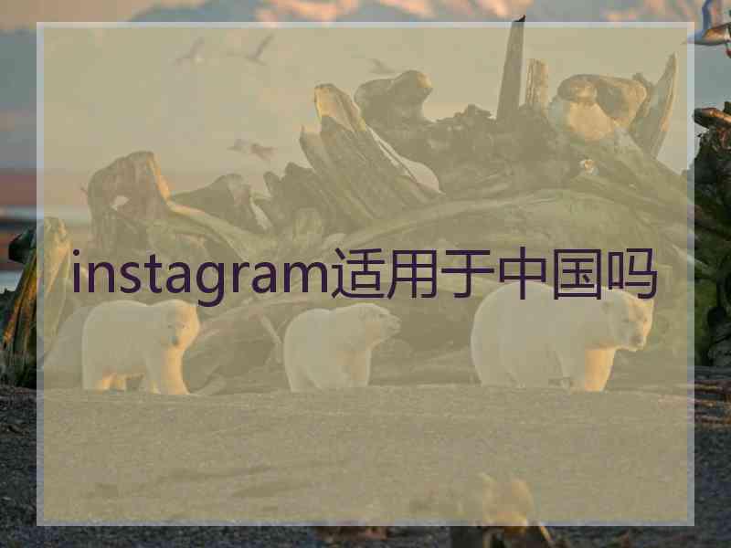 instagram适用于中国吗