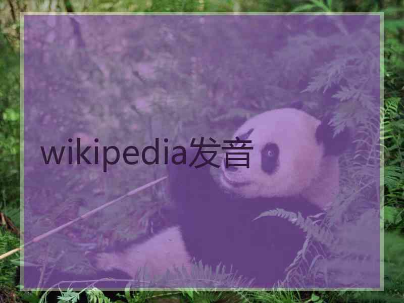 wikipedia发音