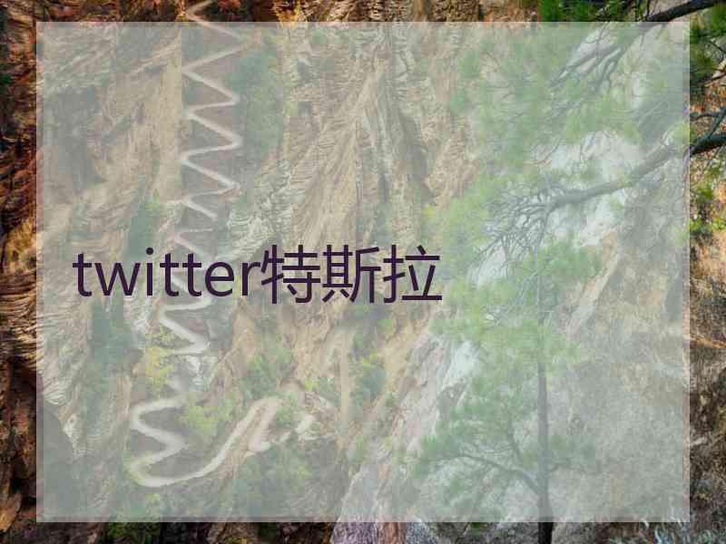 twitter特斯拉