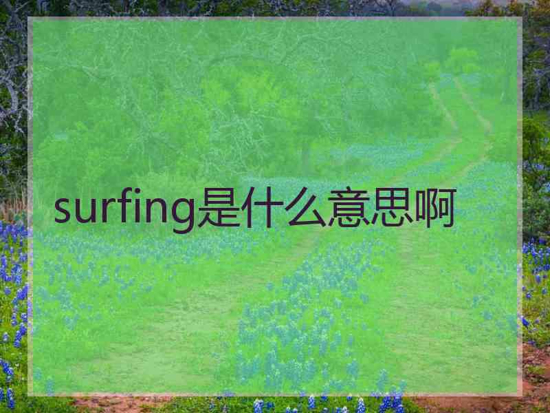 surfing是什么意思啊