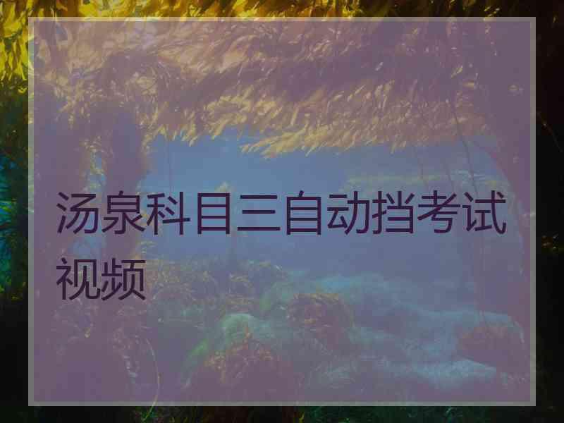 汤泉科目三自动挡考试视频