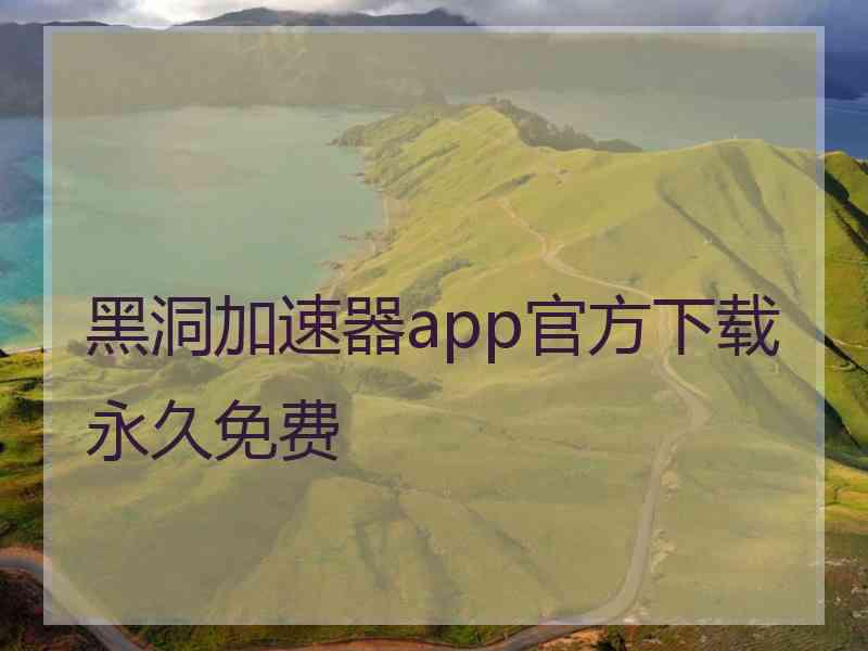 黑洞加速器app官方下载永久免费