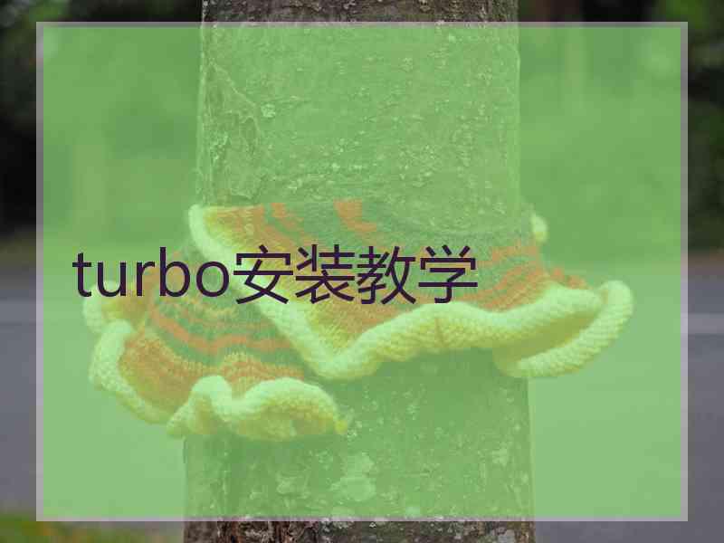 turbo安装教学