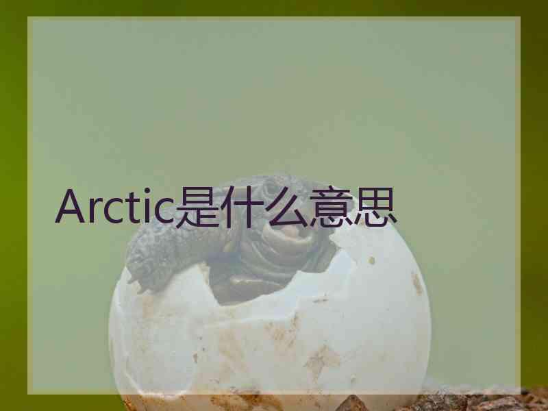 Arctic是什么意思