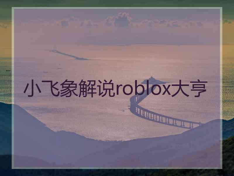 小飞象解说roblox大亨