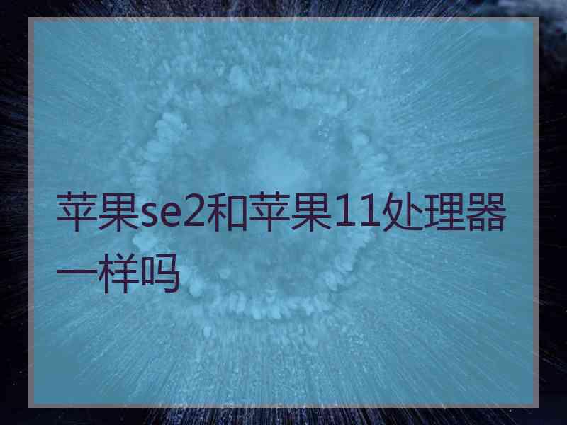 苹果se2和苹果11处理器一样吗