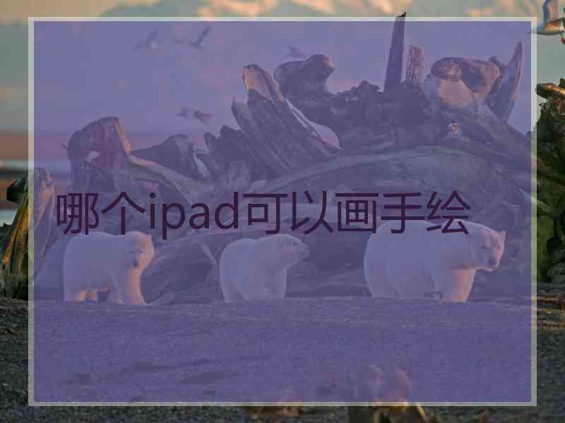 哪个ipad可以画手绘