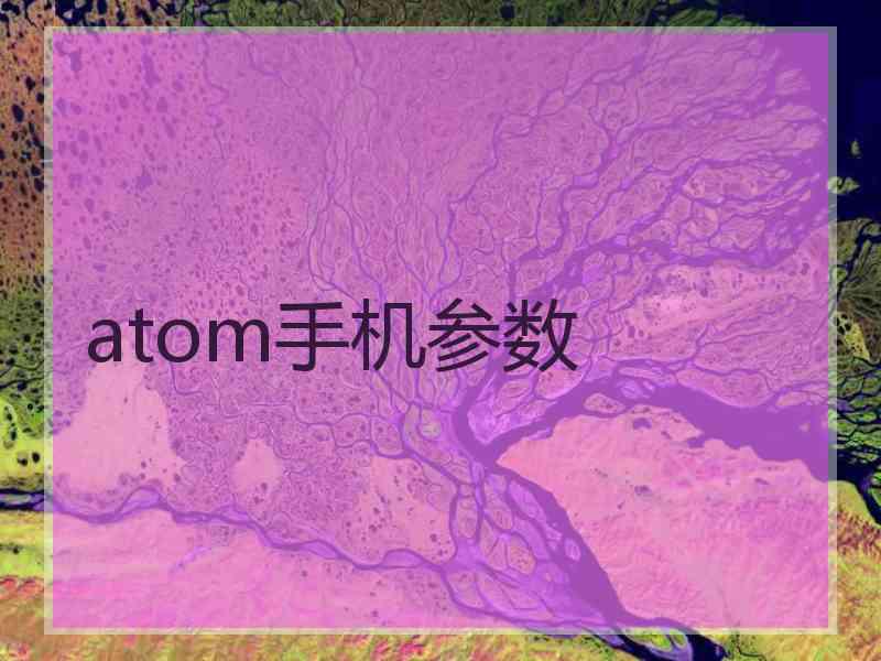 atom手机参数