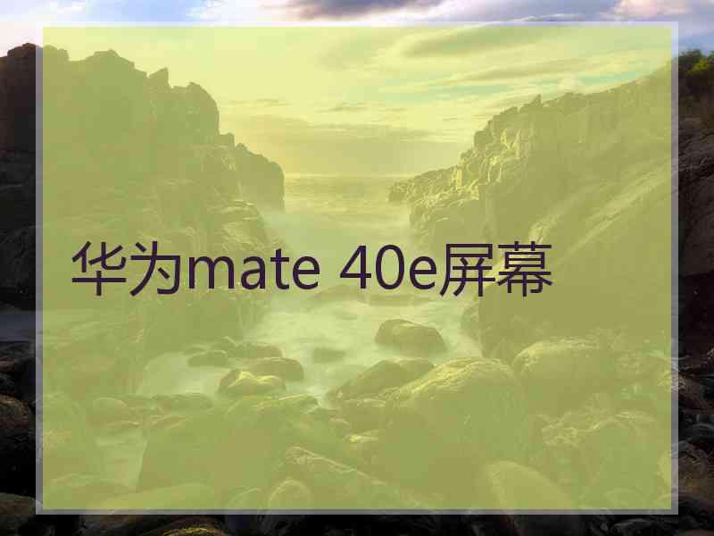 华为mate 40e屏幕