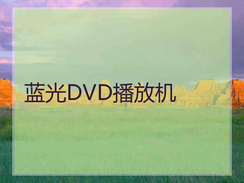 蓝光DVD播放机