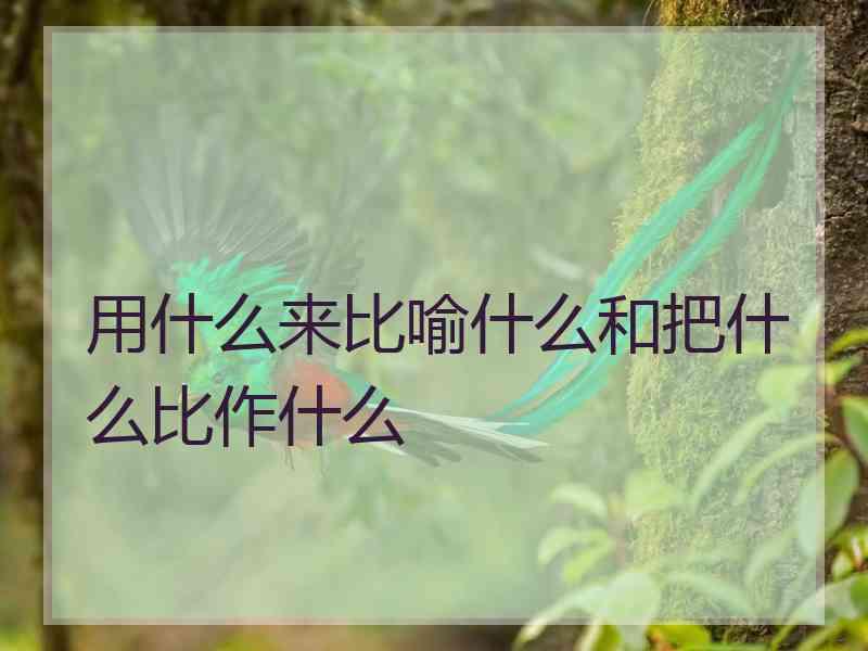 用什么来比喻什么和把什么比作什么