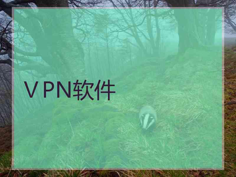 ⅤPN软件