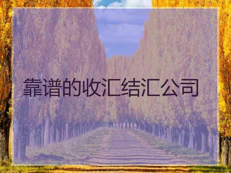 靠谱的收汇结汇公司