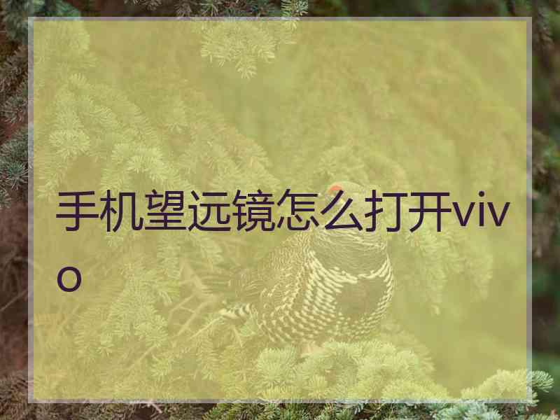 手机望远镜怎么打开vivo