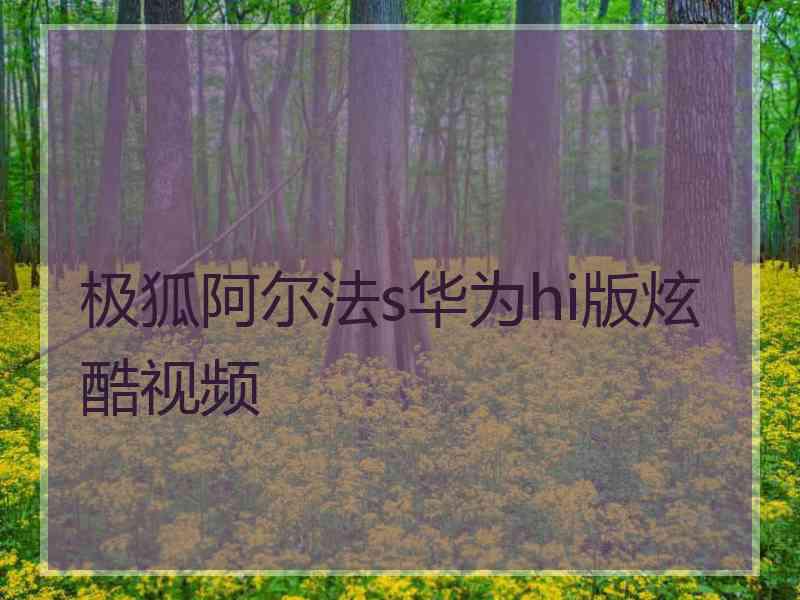 极狐阿尔法s华为hi版炫酷视频