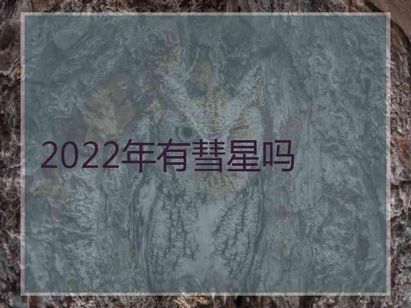 2022年有彗星吗