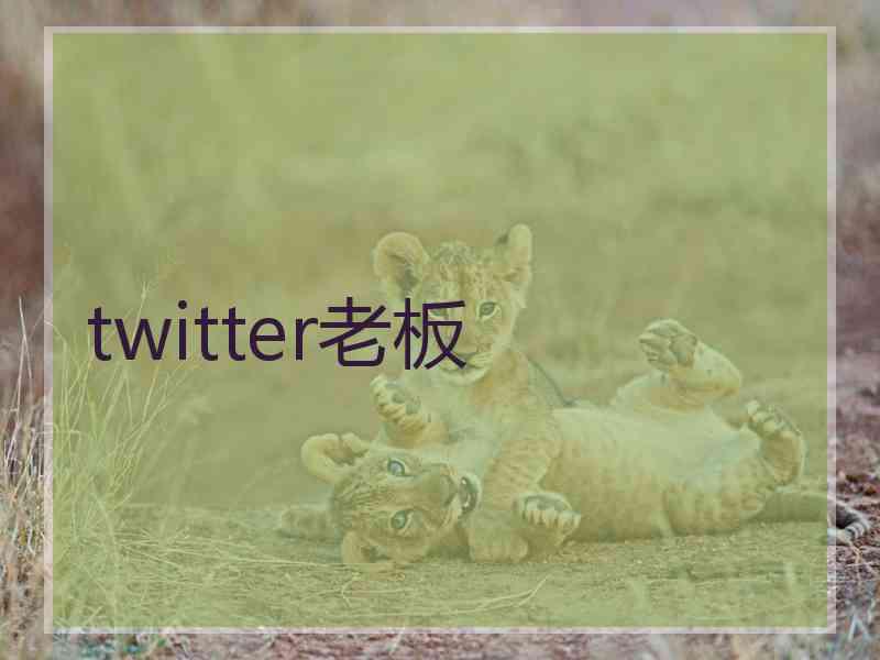 twitter老板