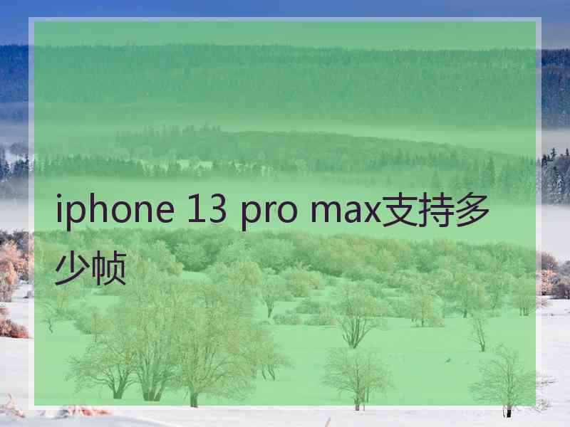 iphone 13 pro max支持多少帧