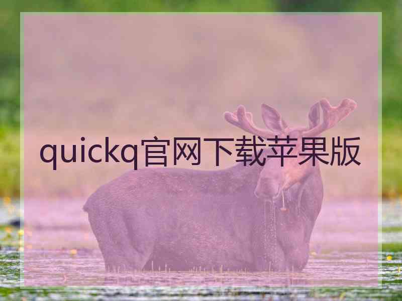 quickq官网下载苹果版