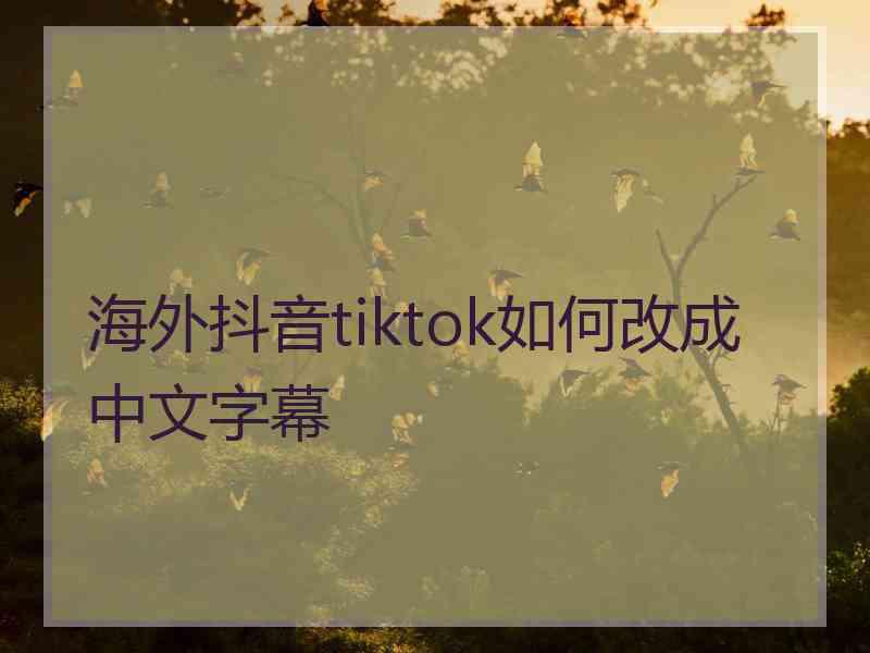 海外抖音tiktok如何改成中文字幕