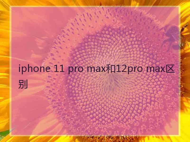 iphone 11 pro max和12pro max区别