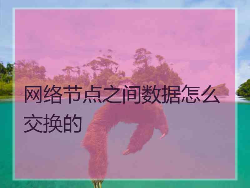 网络节点之间数据怎么交换的