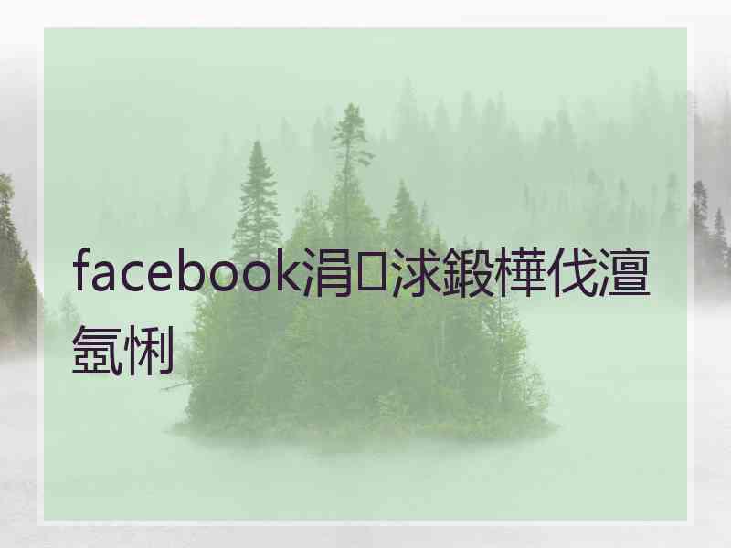 facebook涓浗鍛樺伐澶氬悧