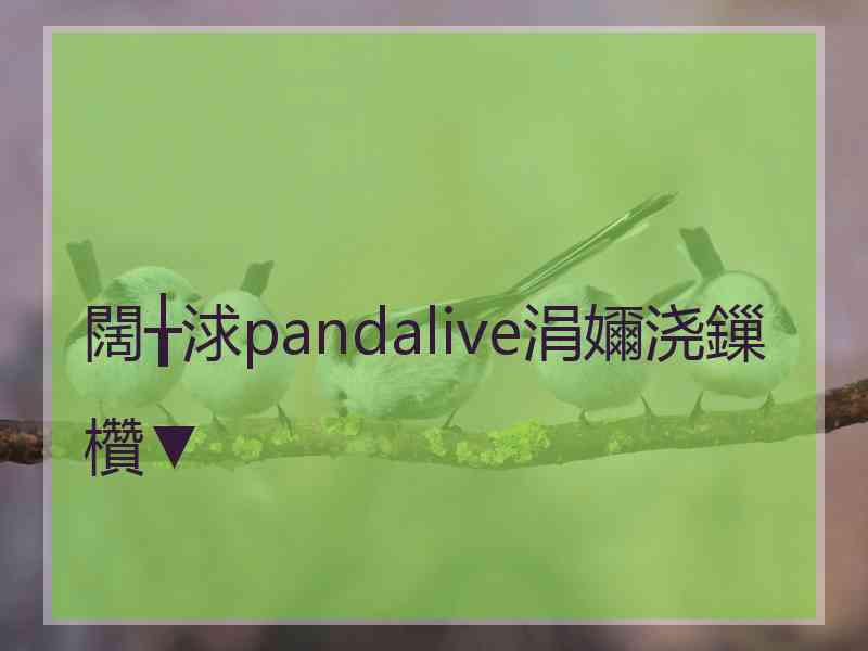 闊╁浗pandalive涓嬭浇鏁欑▼