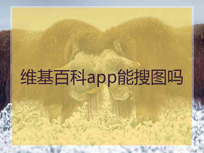 维基百科app能搜图吗