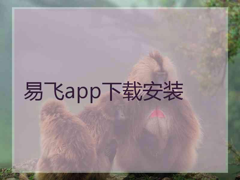 易飞app下载安装