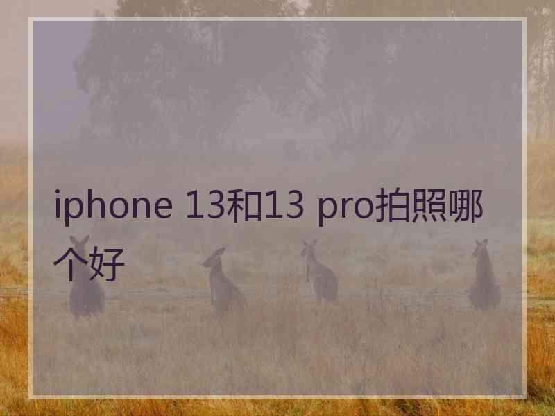 iphone 13和13 pro拍照哪个好