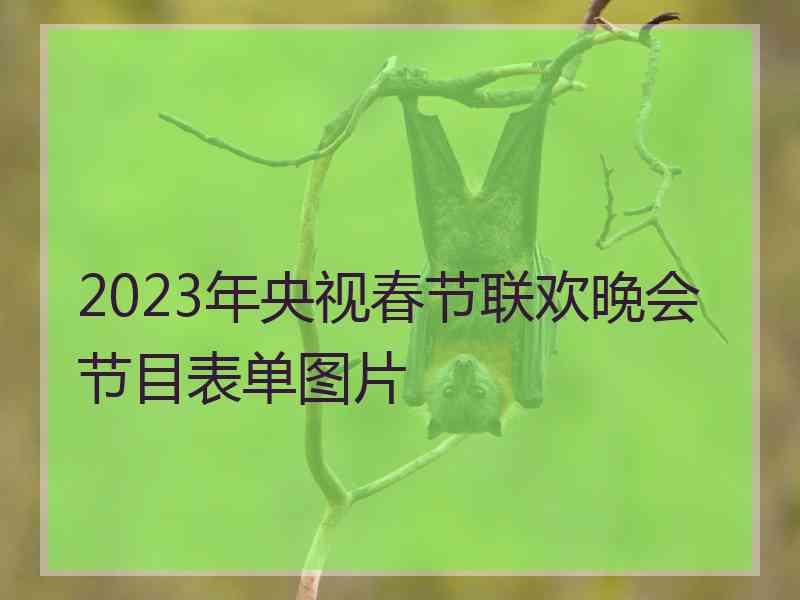 2023年央视春节联欢晚会节目表单图片