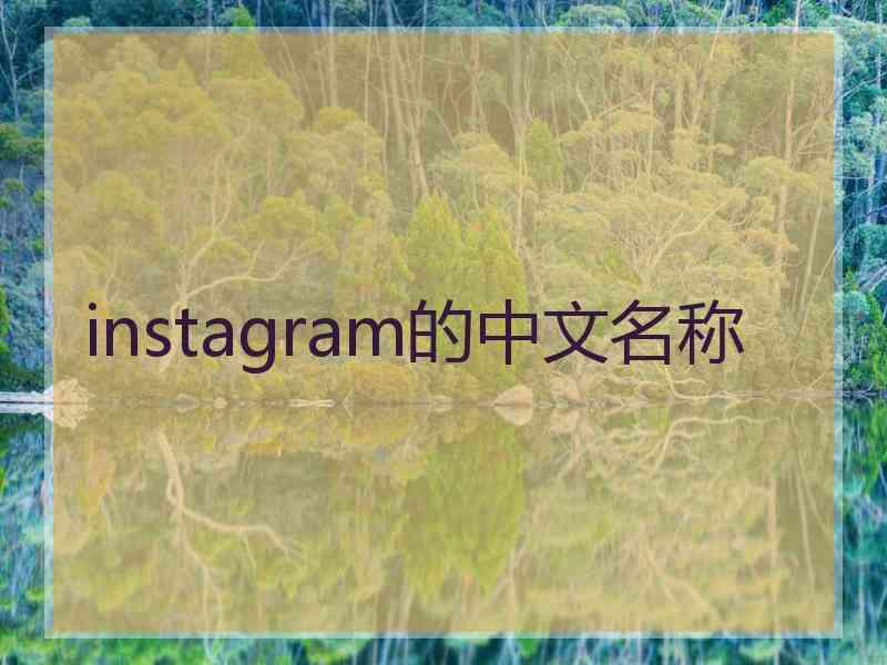 instagram的中文名称