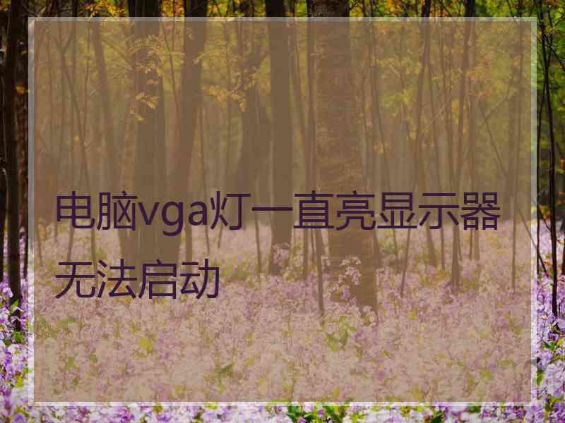 电脑vga灯一直亮显示器无法启动