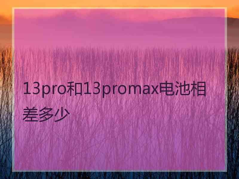 13pro和13promax电池相差多少