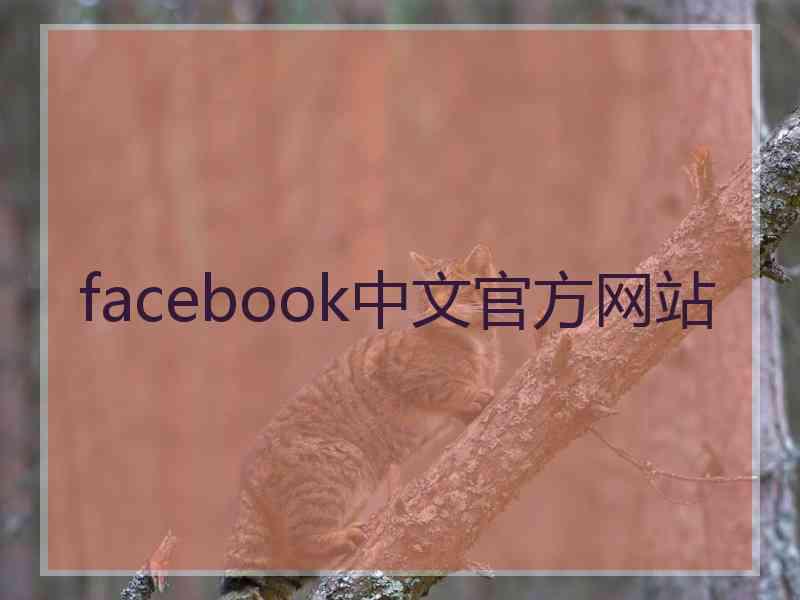 facebook中文官方网站