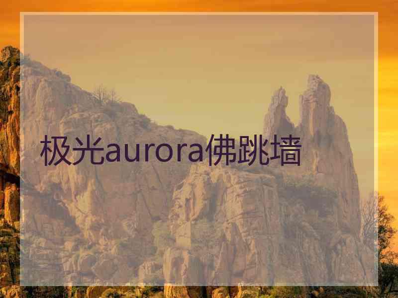 极光aurora佛跳墙