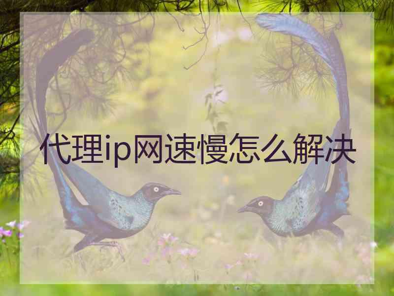 代理ip网速慢怎么解决