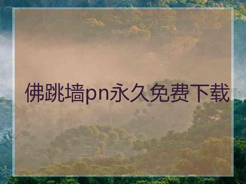 佛跳墙pn永久免费下载