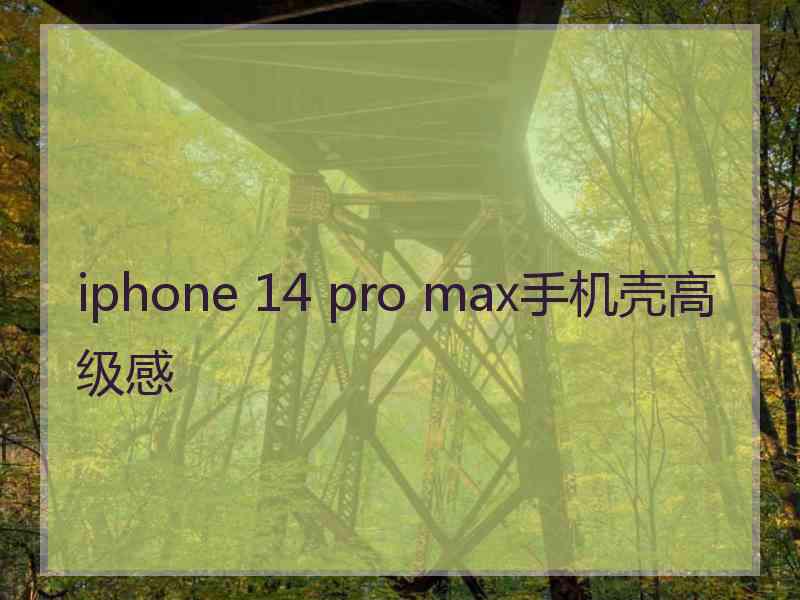 iphone 14 pro max手机壳高级感