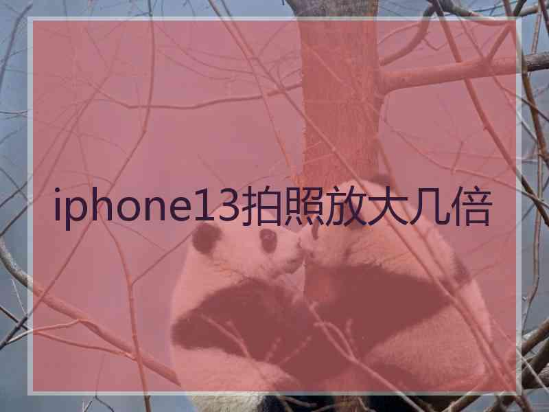 iphone13拍照放大几倍