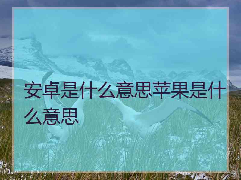 安卓是什么意思苹果是什么意思