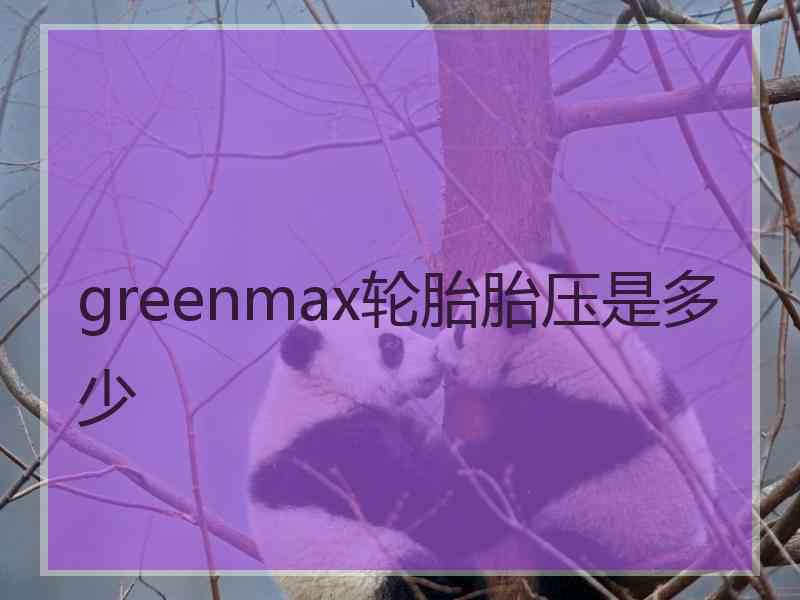 greenmax轮胎胎压是多少