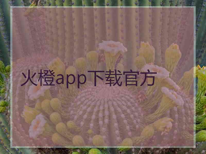 火橙app下载官方