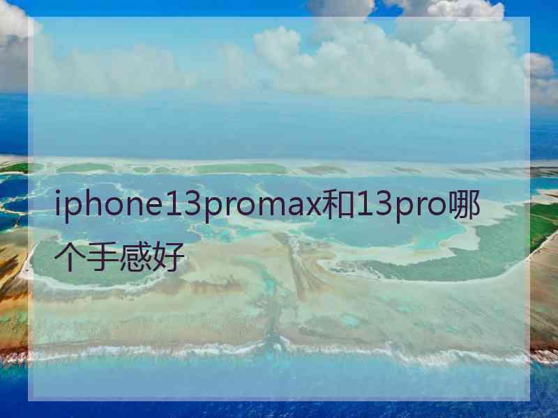 iphone13promax和13pro哪个手感好