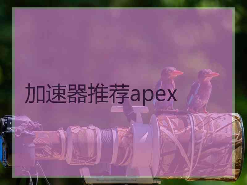 加速器推荐apex