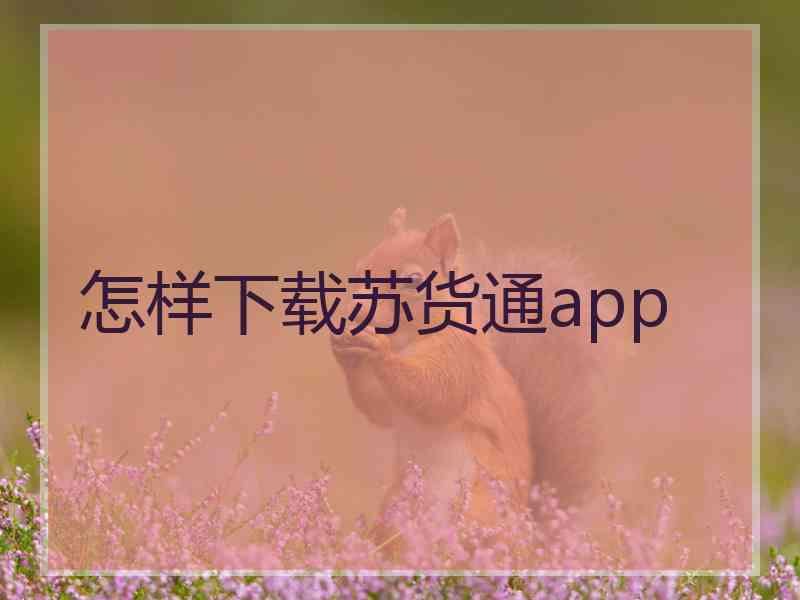 怎样下载苏货通app